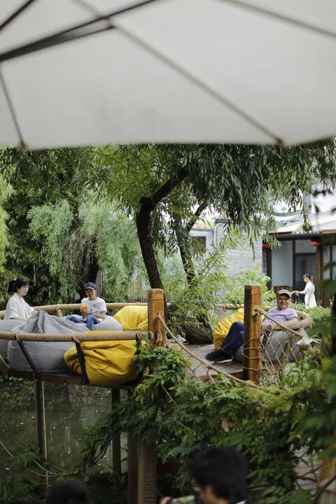 90后女孩在樹上開咖啡館,零宣傳爆紅,網(wǎng)友卻羨慕她的遛狗日常